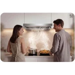 Okap teleskopowy kuchenny podszafkowy 50 cm Berdsen BT-242 inox