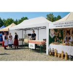 Pawilon ogrodowy 3 scianki 3 x 6m biały Plonos