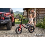 Rowerek biegowy dla dzieci Ricokids Fun Adventure