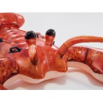 Zabawka do pływania Homar 213 x 137 cm INTEX 57533