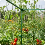 Złączki do tyczek 11mm typu 3 do pomidorów roślin Plonos PL-941 zielone 4szt 