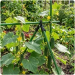 Złączki do tyczek 11mm typu A do pomidorów roślin Plonos PL-941 czarne 4szt 